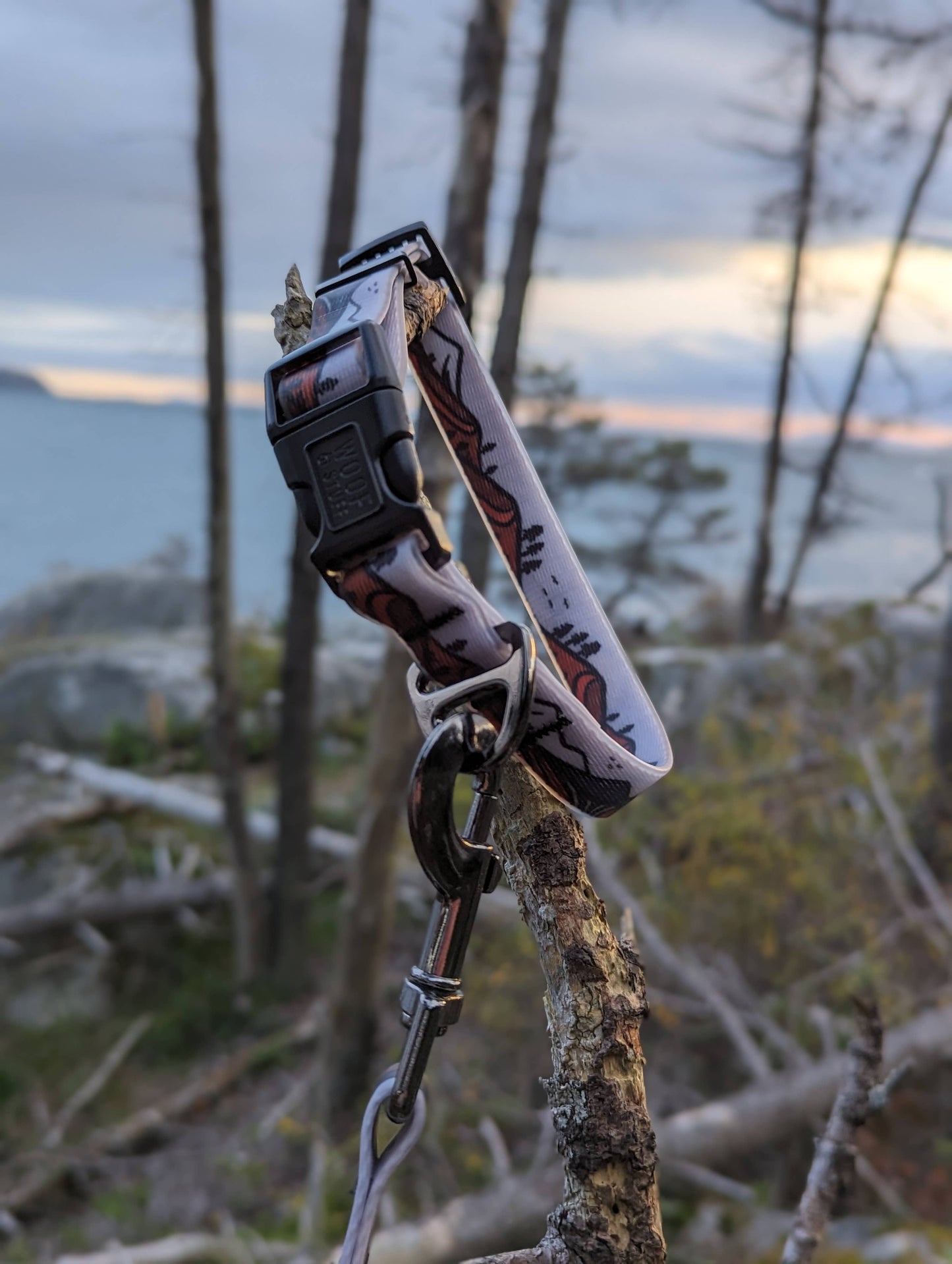 Wanderlust Waterproof Collar
