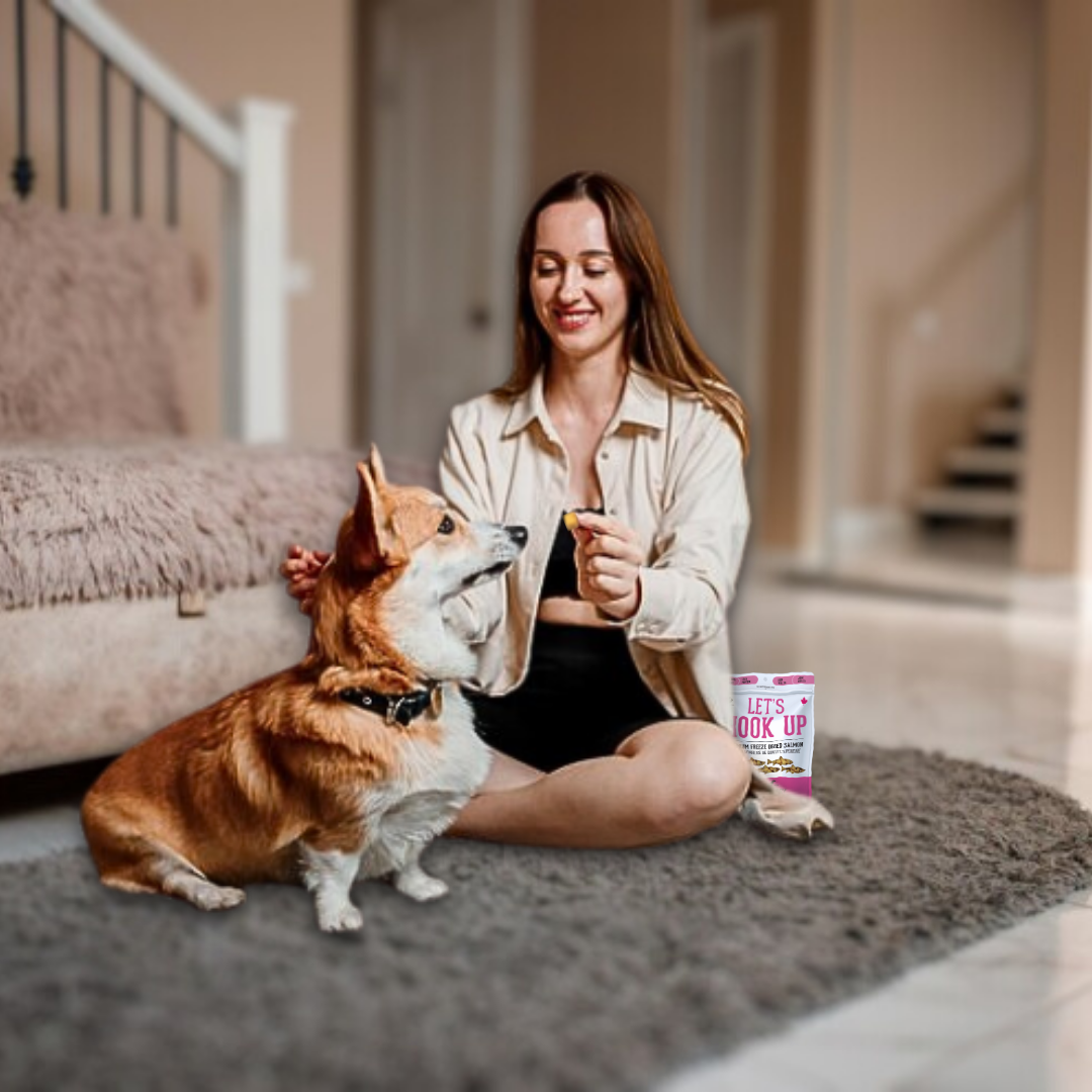 Wild Salmon Freeze-Dried Pet Treats: High-Protein & Natural