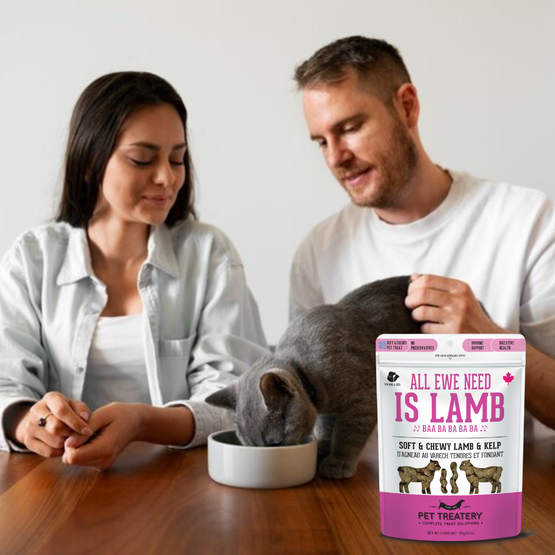 Lamb & Kelp Soft Dog Treats: Chewy & All-Natural