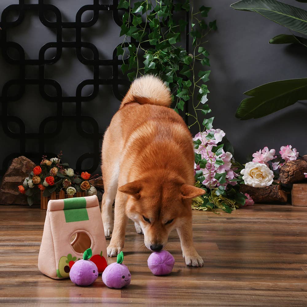 HugSmart Pet - Food Party | Grocery Bag - Interactive Toy
