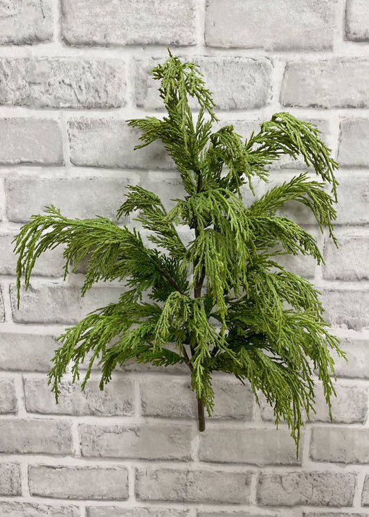 Fresh Touch Whispy Cedar Bush 20"