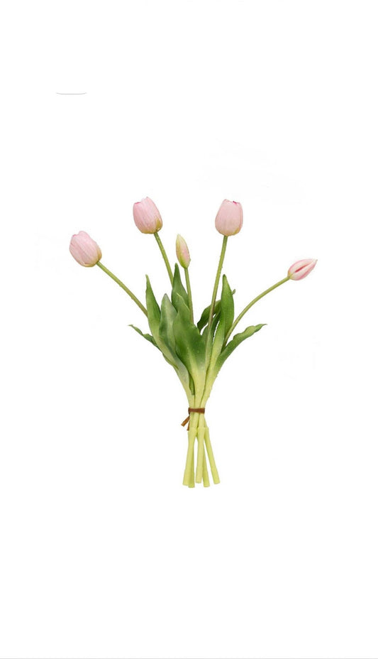 Bunch of 5 Pink Tulips