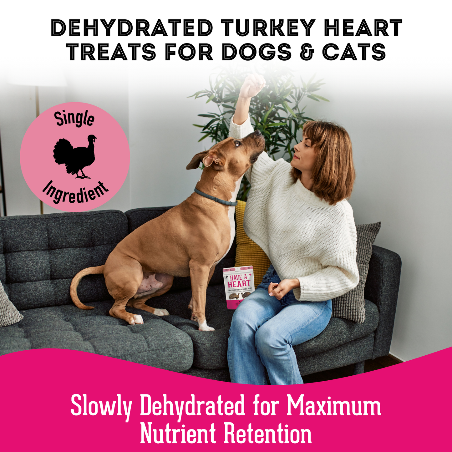 Turkey Heart - Premium Dehydrated Pet Treat  High Protein