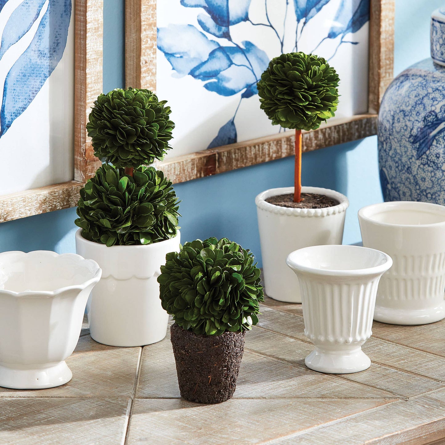 Boxwood Mini Topiary Drop-Ins
