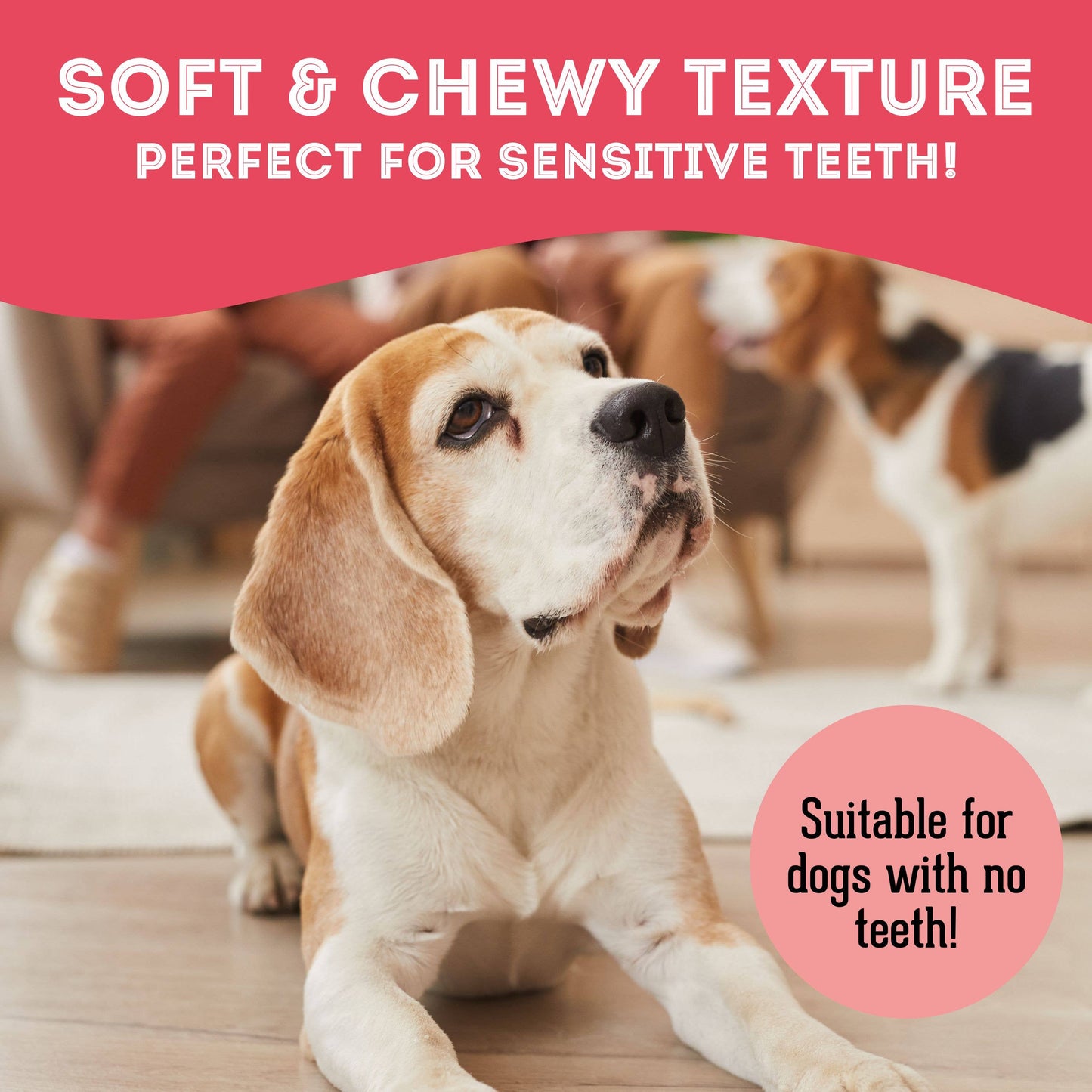 Duck & Cranberry Soft Dog Treats: Chewy & All-Natural