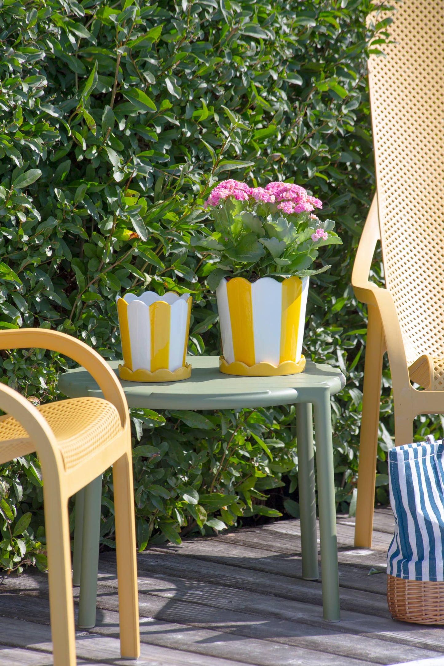 White & Yellow Striped Pot with Scalloped Saucer (Small)