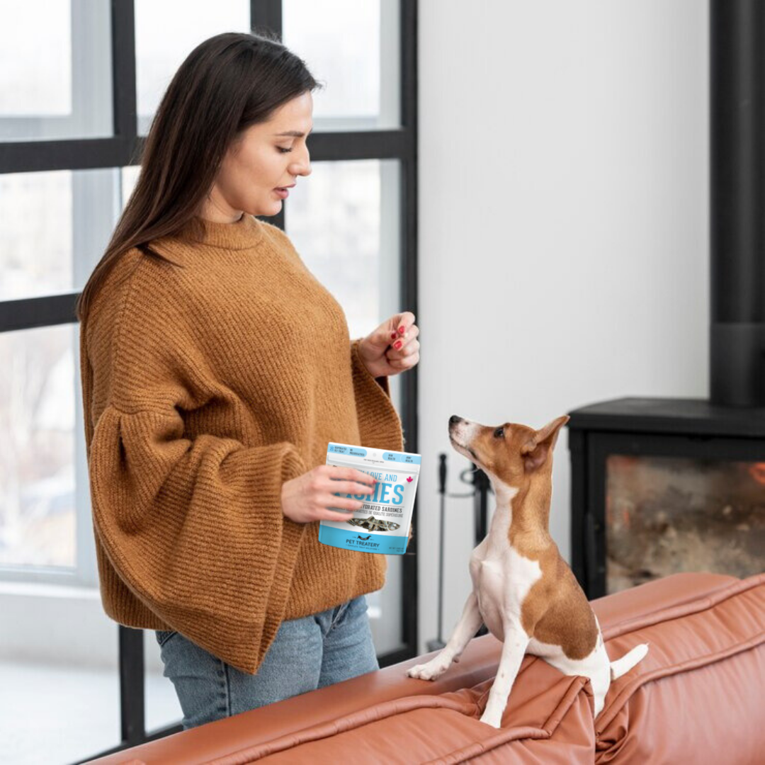 Sardines Dehydrated Pet Treats: High-Protein & Natural 90g