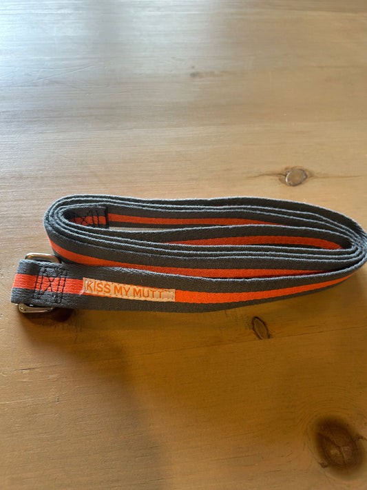 Kiss My Mutt striped dog Leash - Med/Large
