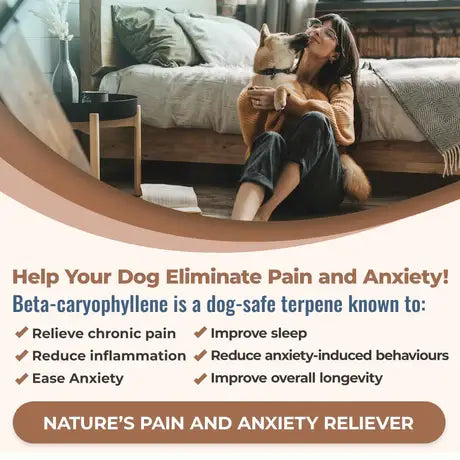CB2 DOG-EASE