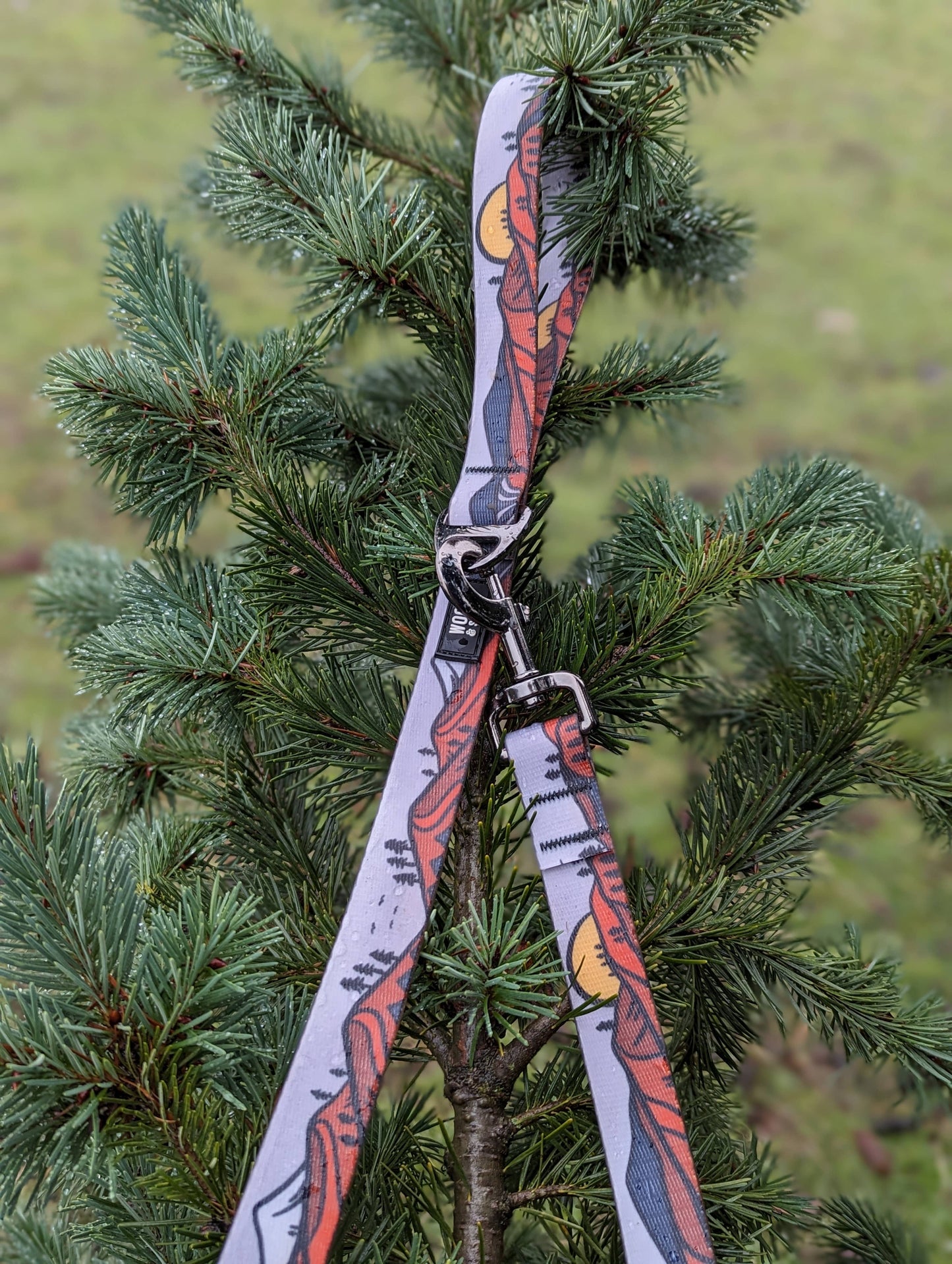 Wanderlust Waterproof Leash