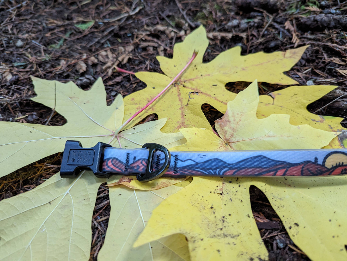 Wanderlust Waterproof Collar