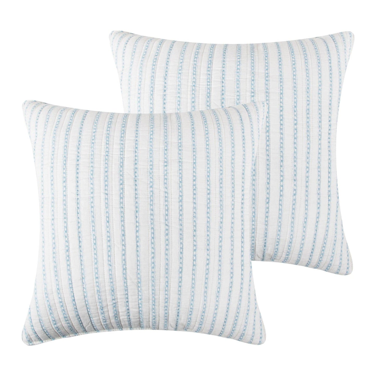 Chantae Euro Sham | Set of 2