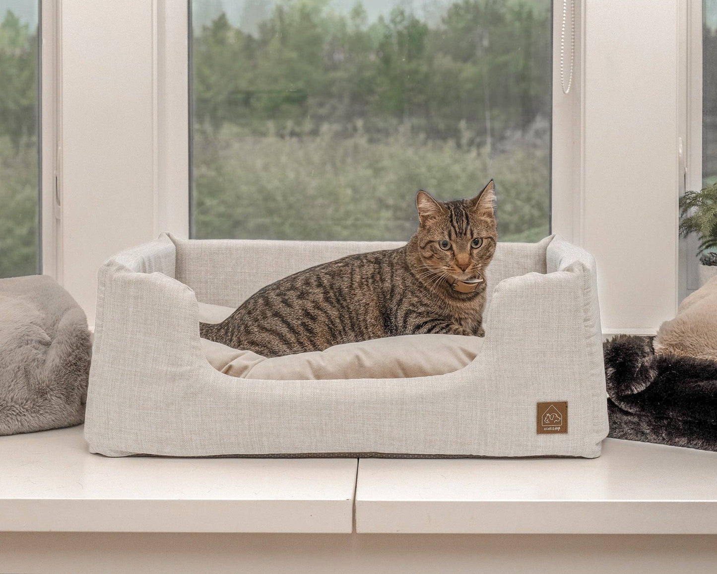 Sansa modern pet bed - Medium