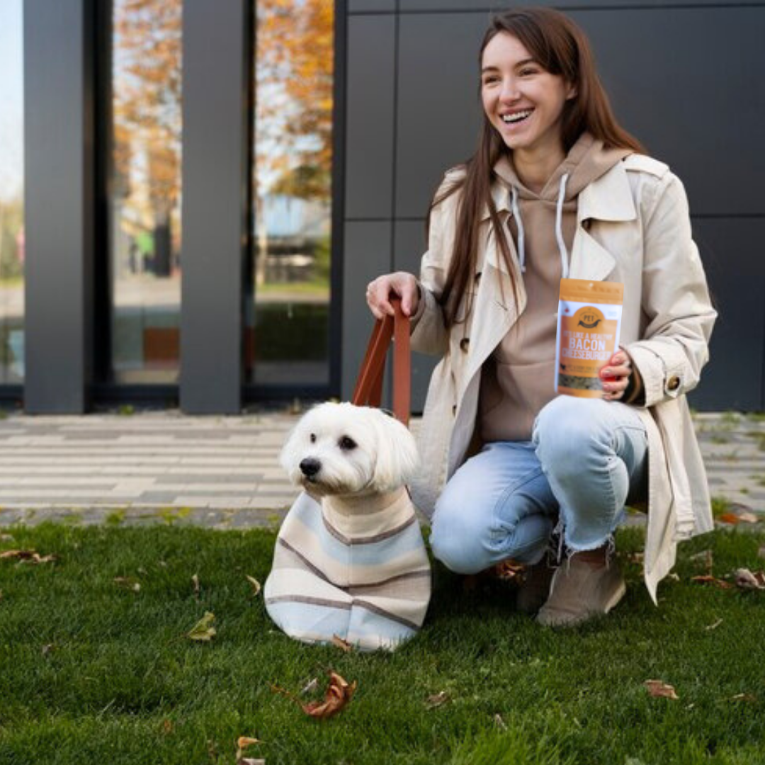 Pork & Cheese Soft Dog Treats: For Puppies and Seniors