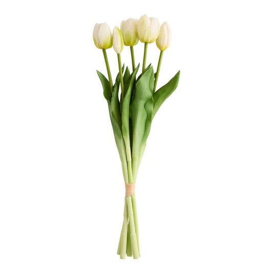Bunch of 5 white tulips