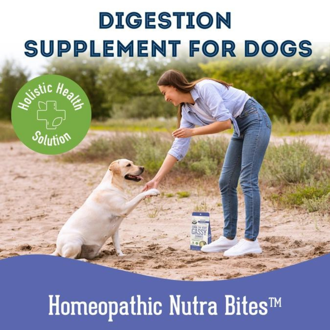 Dog supplements- Digestion Supplement  Herbal Bites