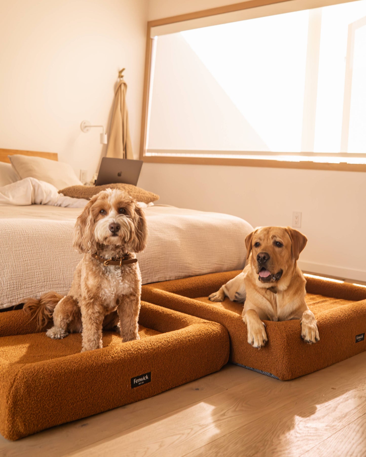 Teddy Dog Bed: Brown / S/M