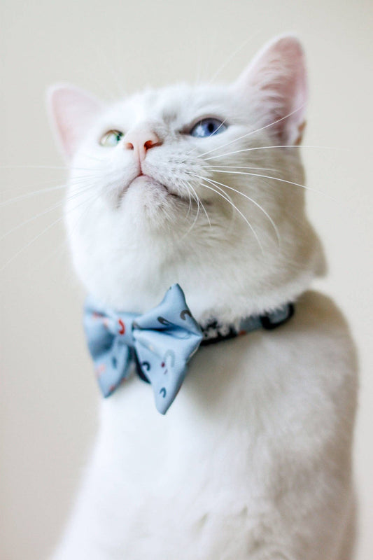 Blue Rainbow Bowtie