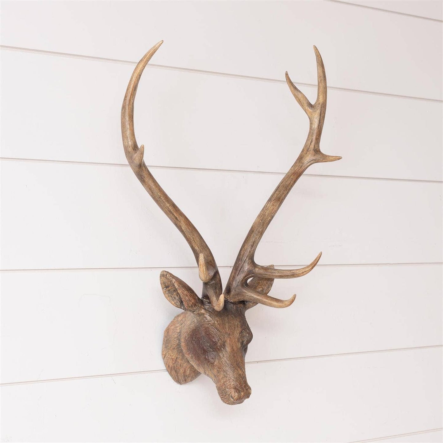 Deer Head - Wall Mount
