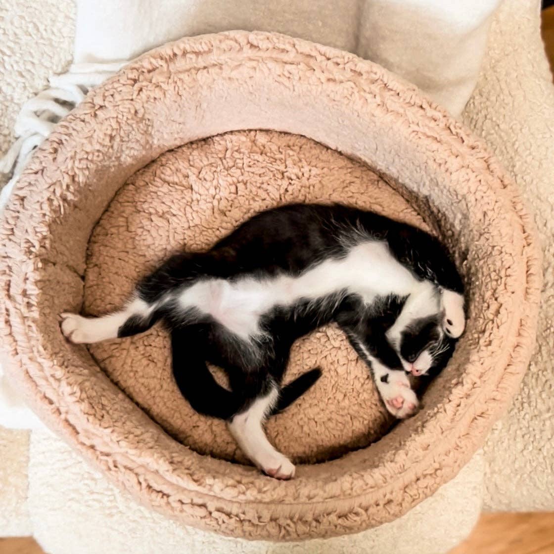 Extra soft Sherpa Bed - Small dogs and Cats