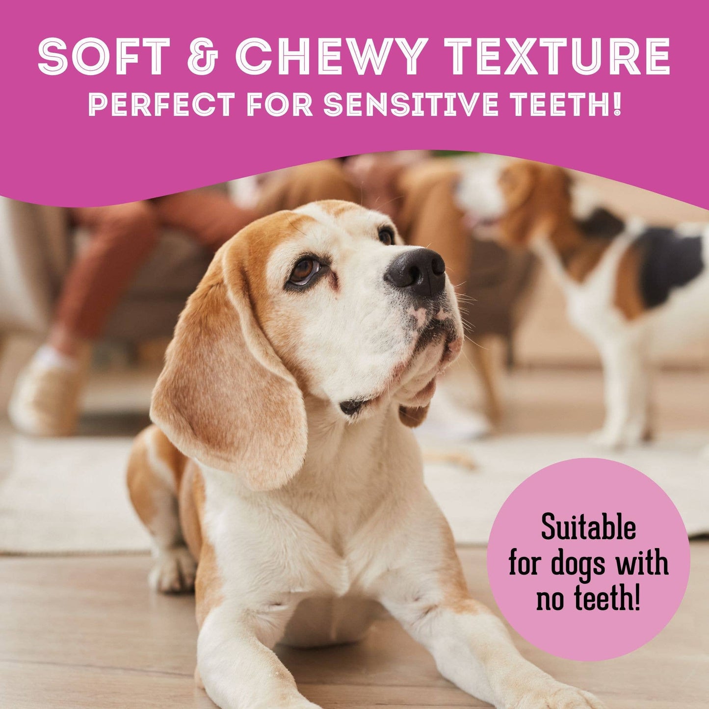 Lamb & Kelp Soft Dog Treats: Chewy & All-Natural