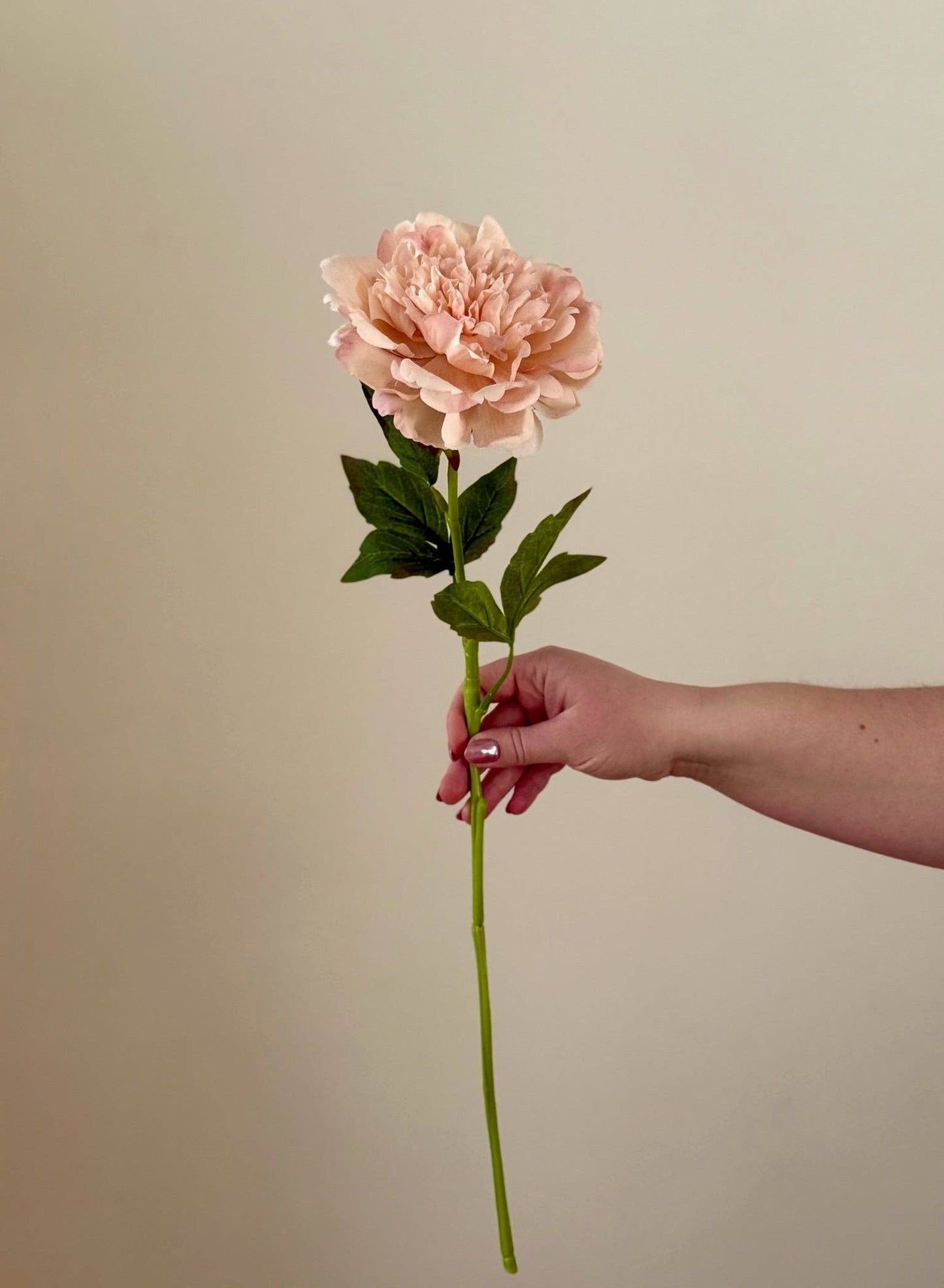 Real Touch Mountain Peony