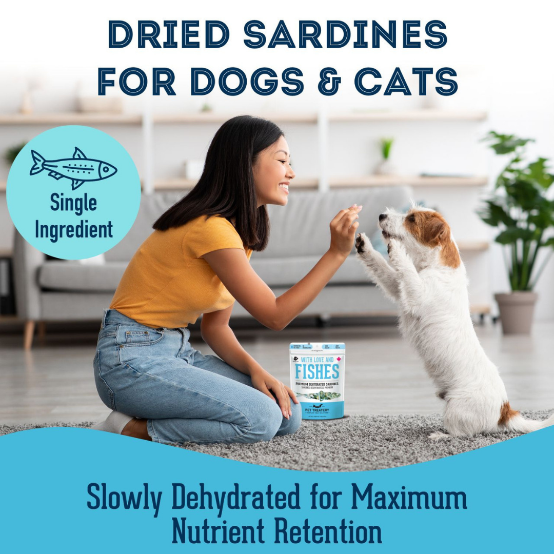 Sardines Dehydrated Pet Treats: High-Protein & Natural 90g