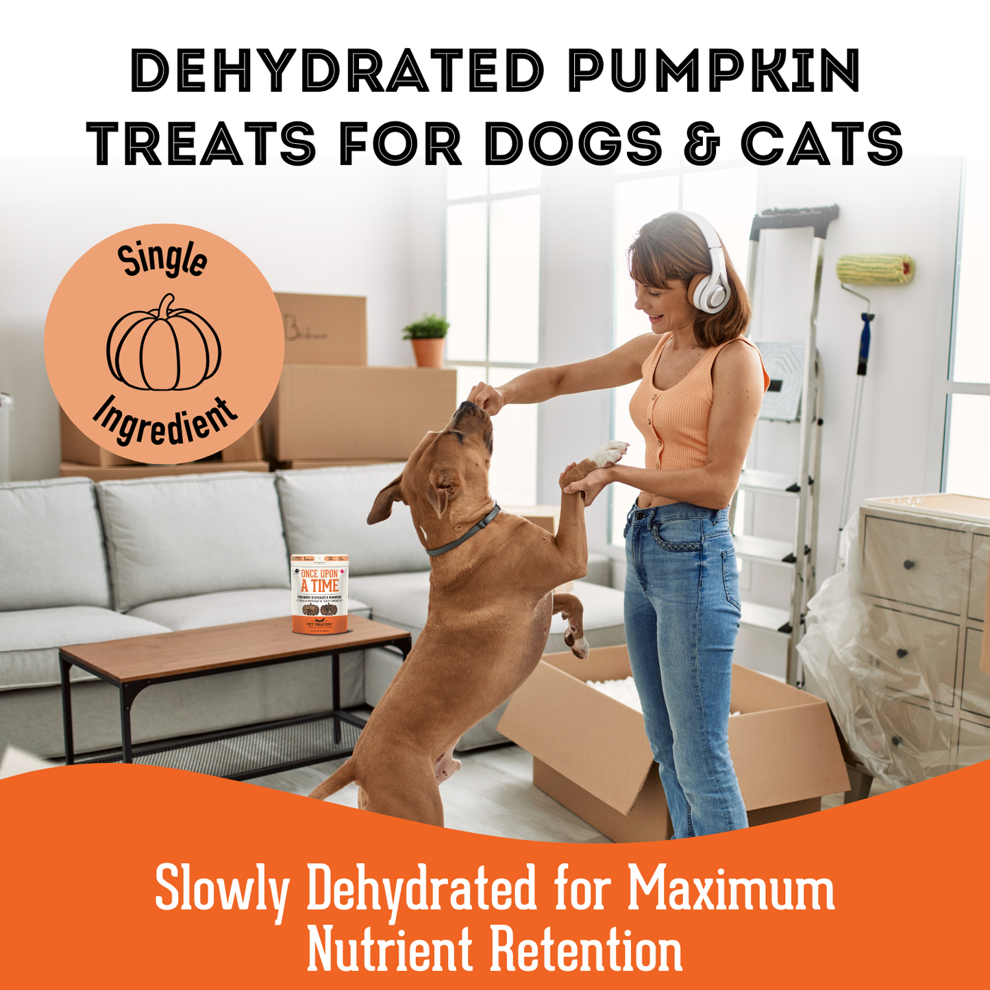 Pumpkin Dehydrated Pet Treat for Dogs & Cats Vegan 80g