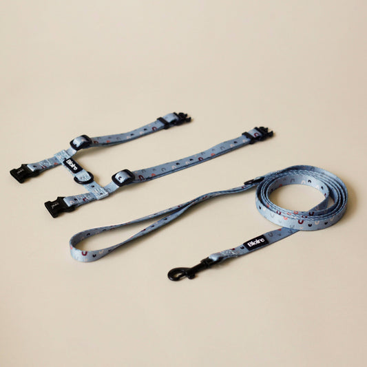 Cat Walk Kit Blue Rainbow