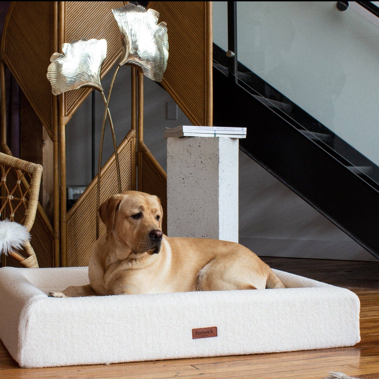 Teddy Dog Bed: Brown / S/M