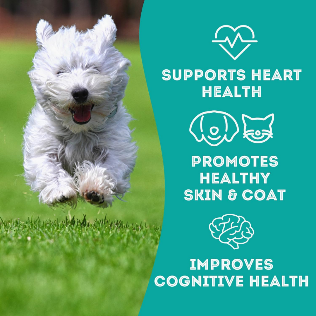 Salmon & Tuna Dehydrated Pet Treats: Omega-3 & High-Protein