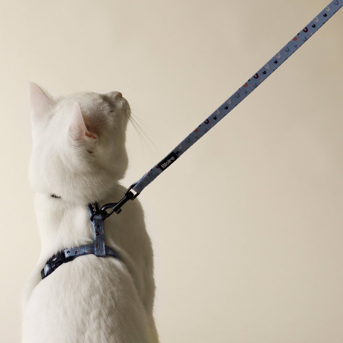 Cat Walk Kit Blue Rainbow