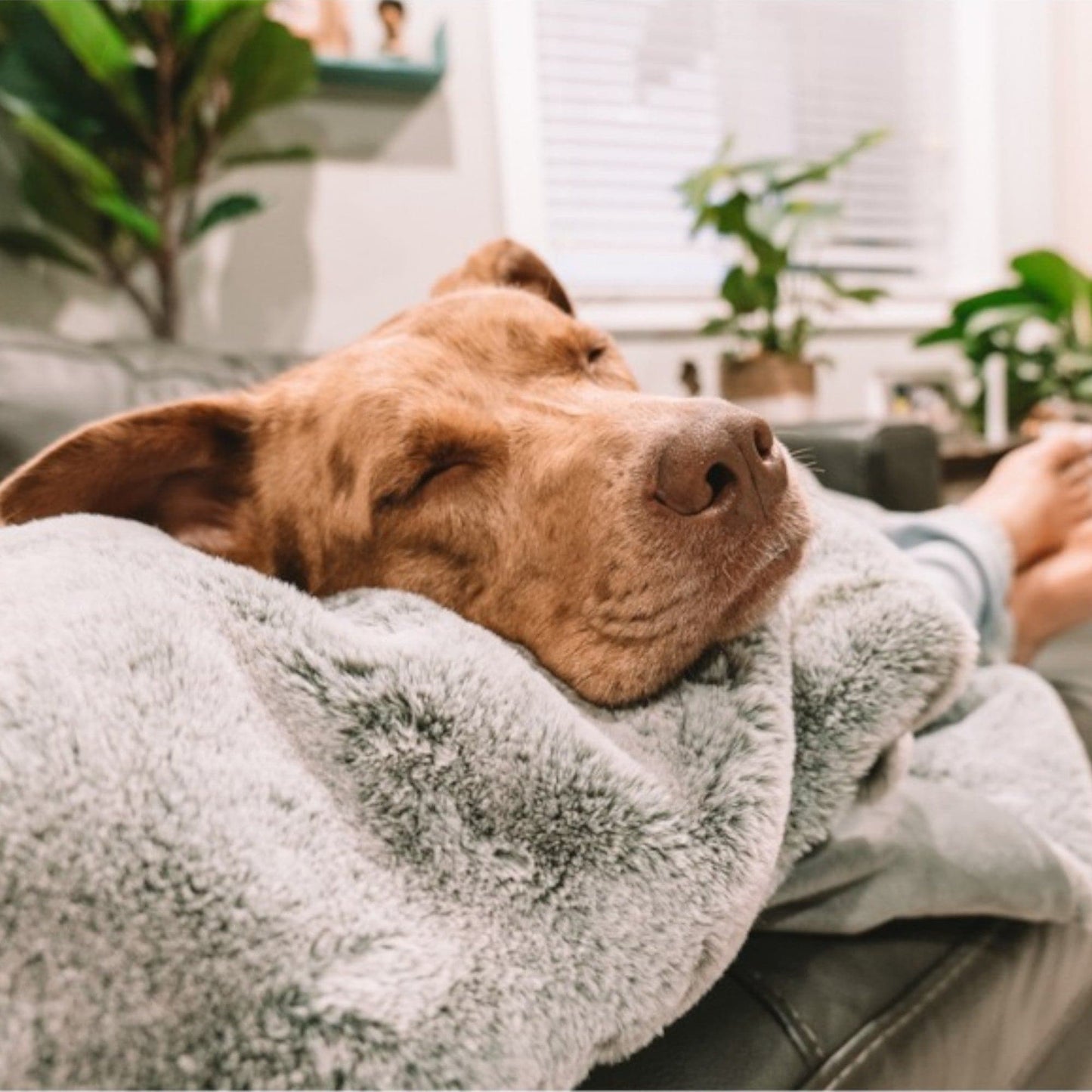 Pixie throw - Taupe