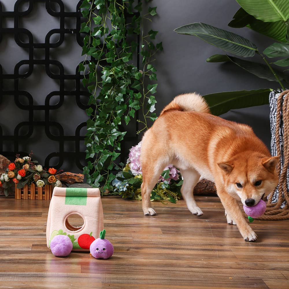 HugSmart Pet - Food Party | Grocery Bag - Interactive Toy
