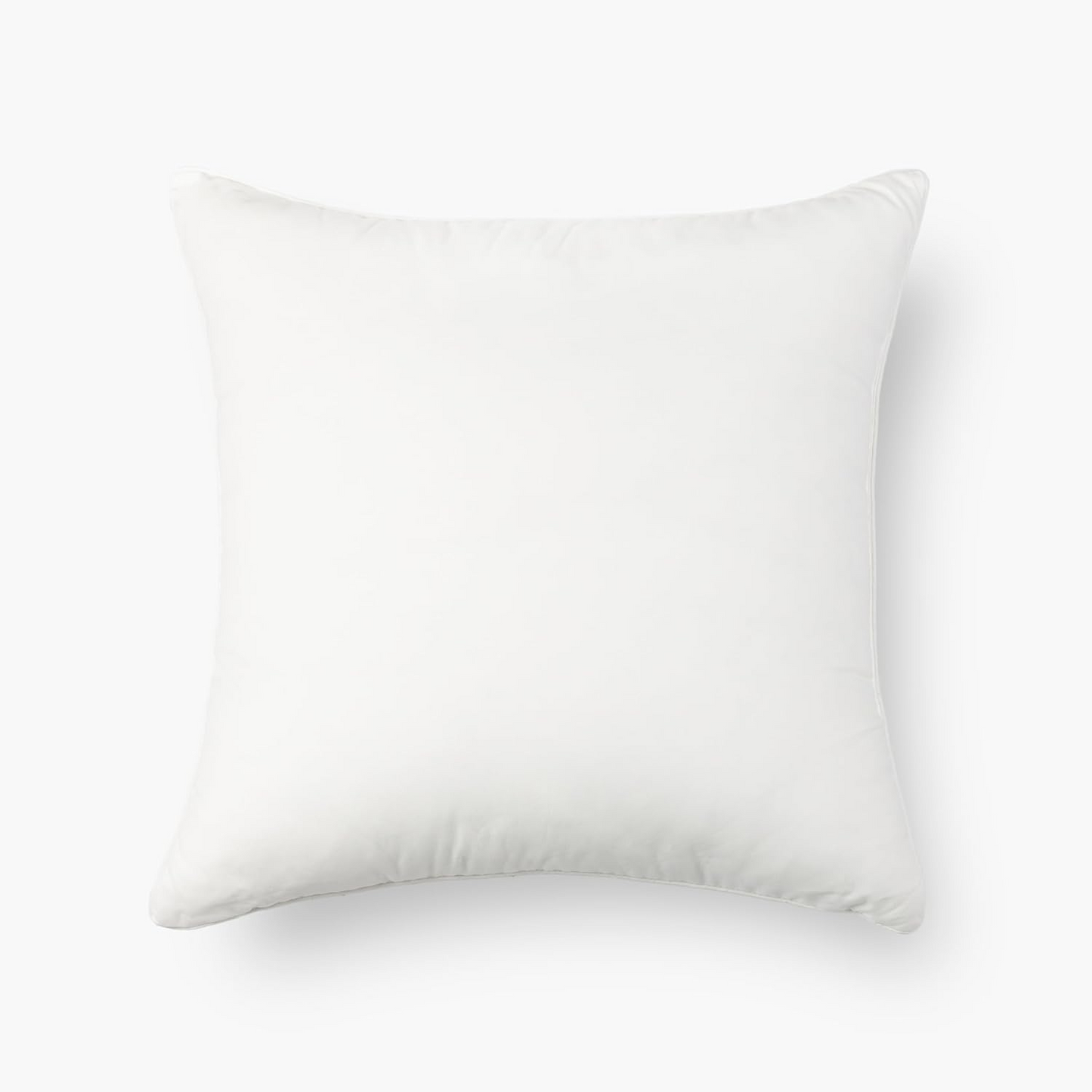 Outdoor Pillow Insert - 24"x24"